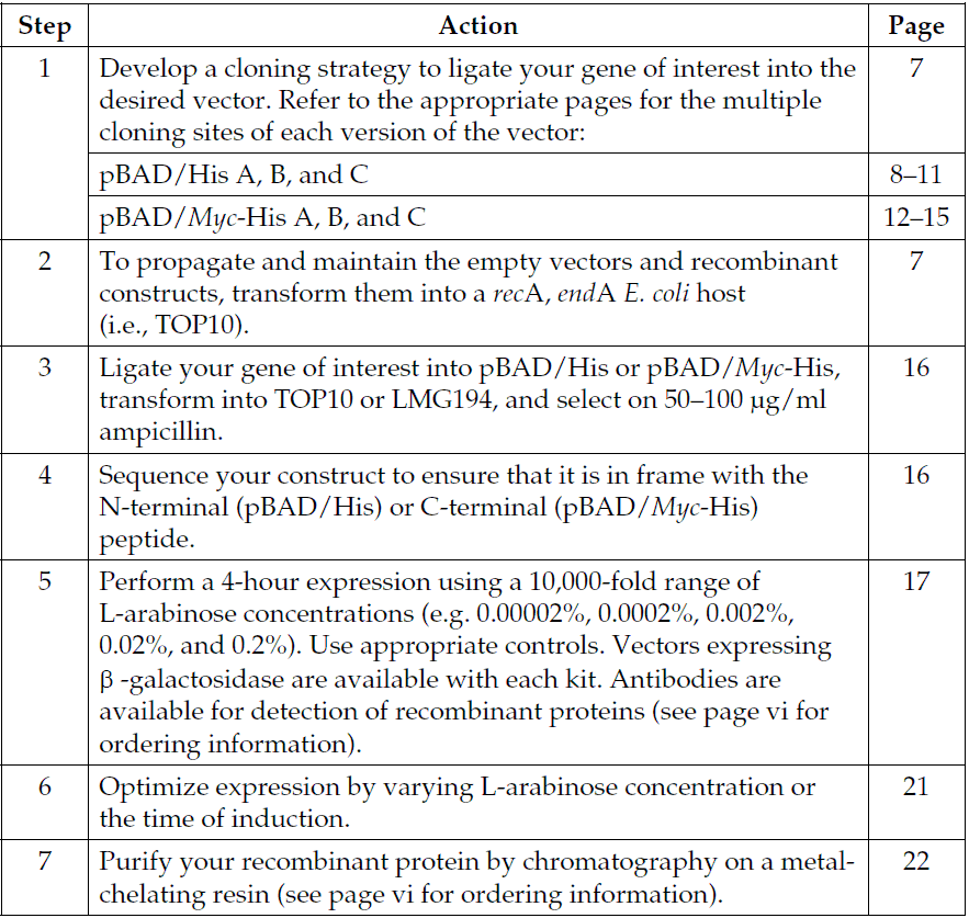 PBad/His B PBadHis B质粒图谱、载体图谱、序列、价格、抗性、测序引物、大小等信息_生物风载体